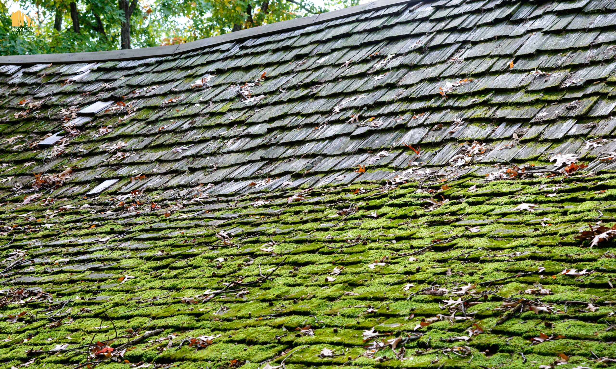 Moss-Growth-Roof-Bronx